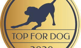Bank Karmy został nominowany w plebiscycie Top For Dog 2021 w kategorii Inicjatywa Społeczna