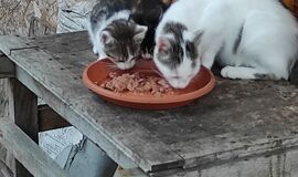 Karma trafia w odpowiednie miesce :)