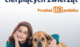 Wspieraj leczenie cierpiących zwierząt - kampania wystartowała