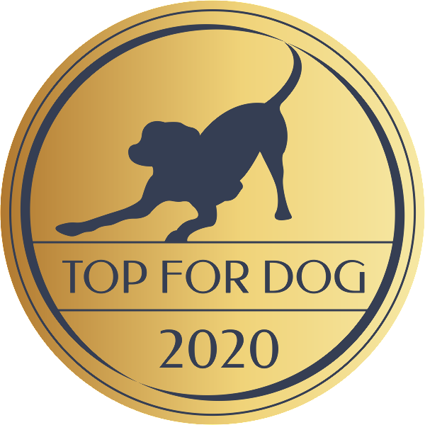 Bank Karmy został nominowany w plebiscycie Top For Dog 2021 w kategorii Inicjatywa Społeczna