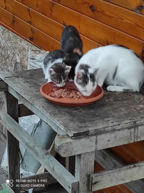 Karma trafia w odpowiednie miesce :)